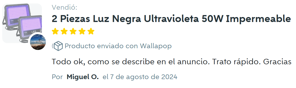 Captura-reseña-wallapop-agosto24