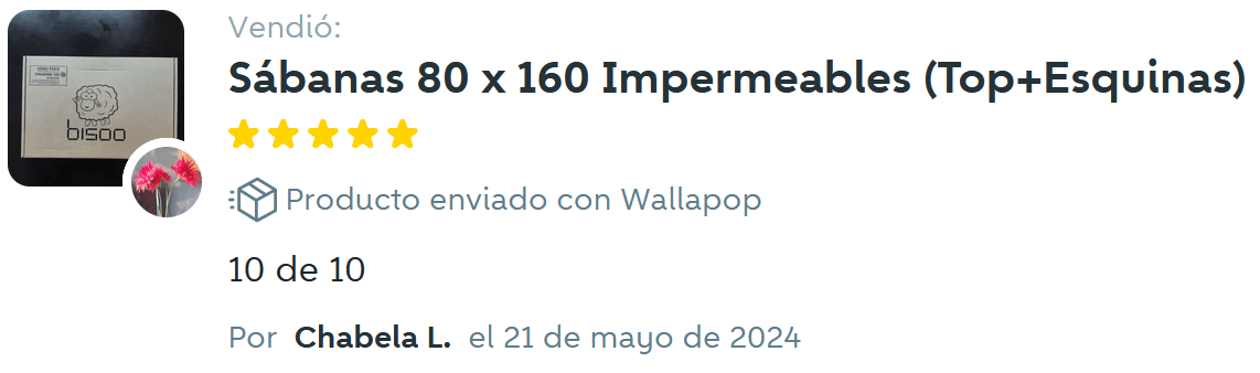 Captura-reseña-wallapop-mayo24-(2)