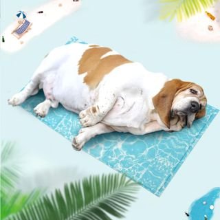 Alfombrilla XL Refrescante Perros y Gatos Manta Manta Fria para Perros Verano Cama refrescante Gatos Manta refrescante Perro Alfombrilla refrigerante Alfombra colchoneta Ideal para Mascotas Grande XL 100 x 60 cm